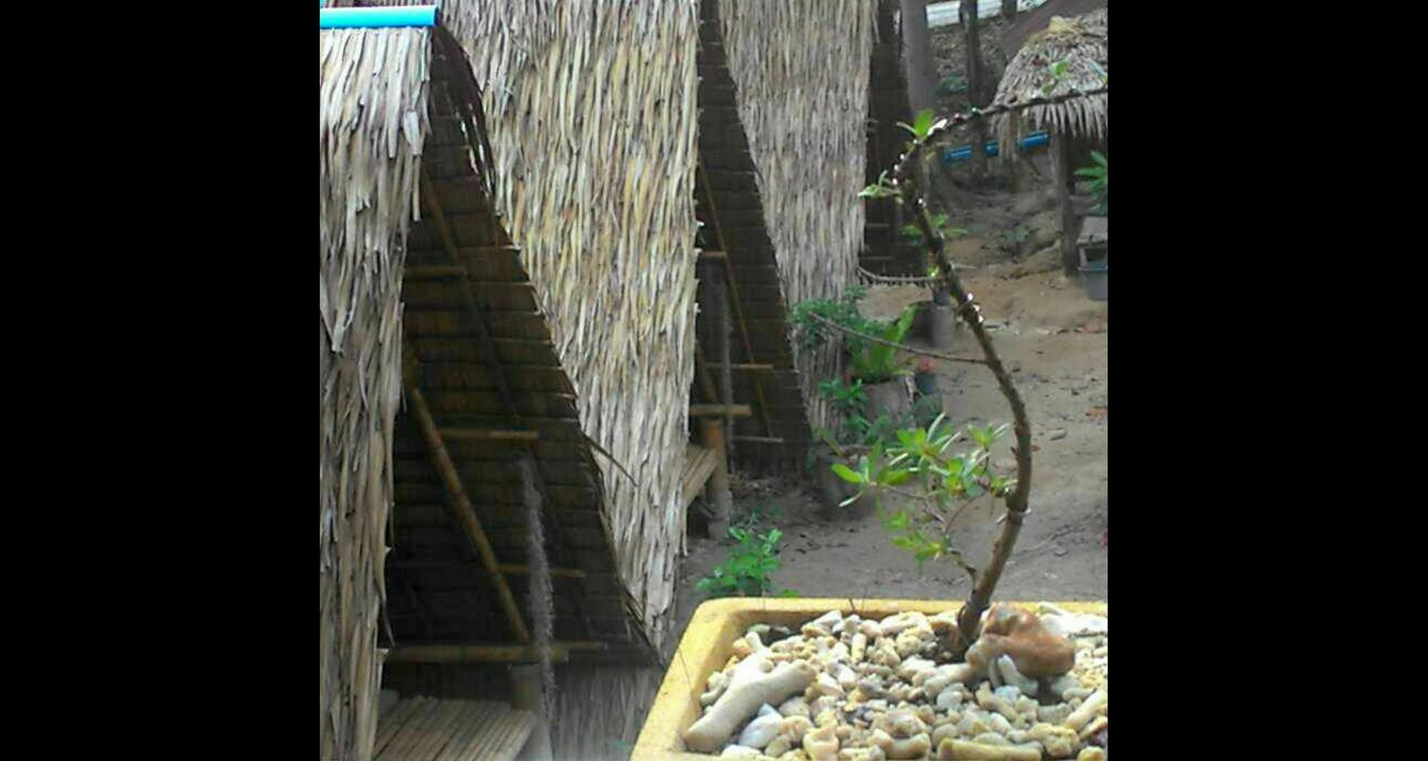 Lipe Camping Zone Exterior foto